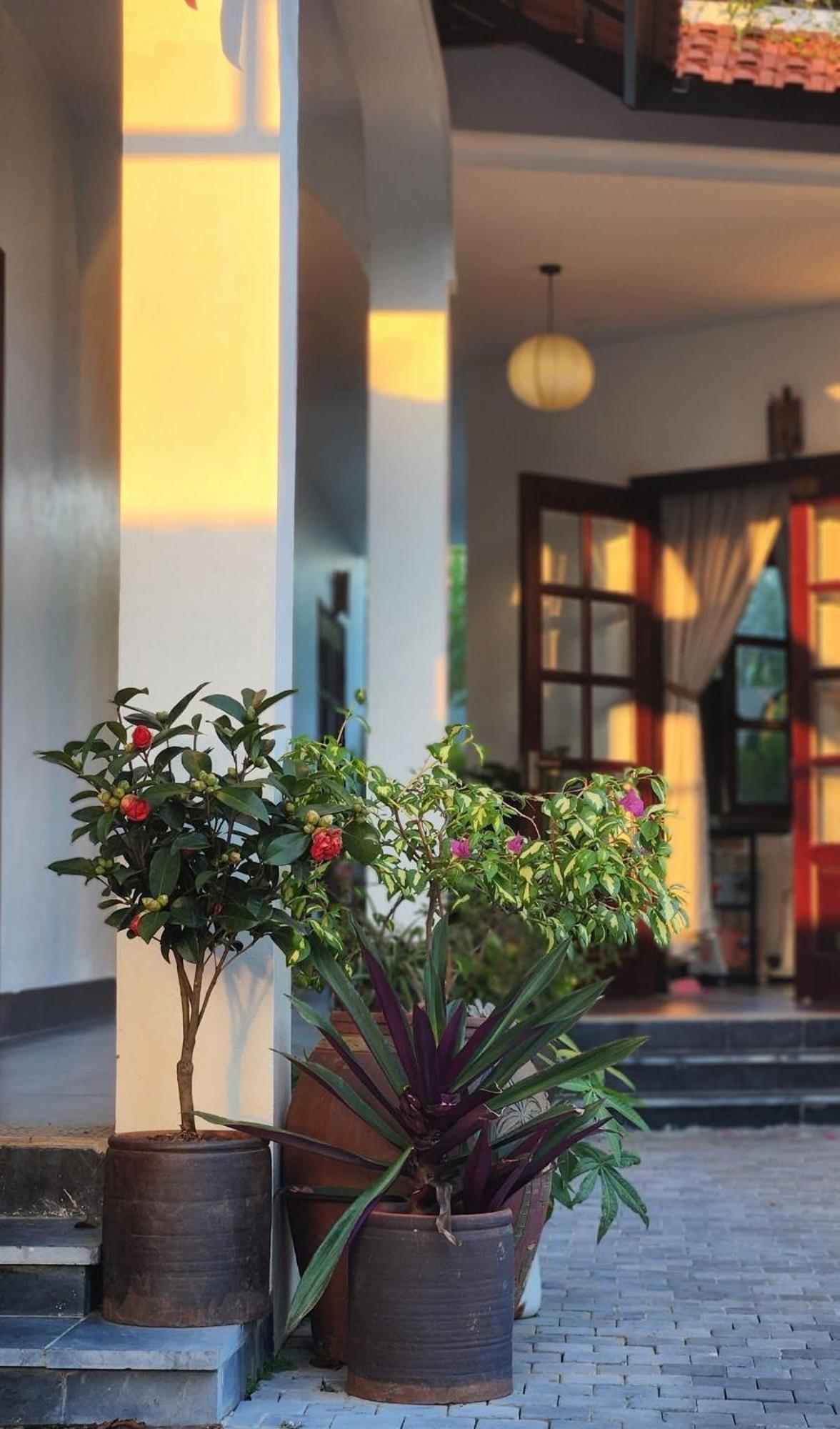 Anio Ha Giang Hotel Extérieur photo